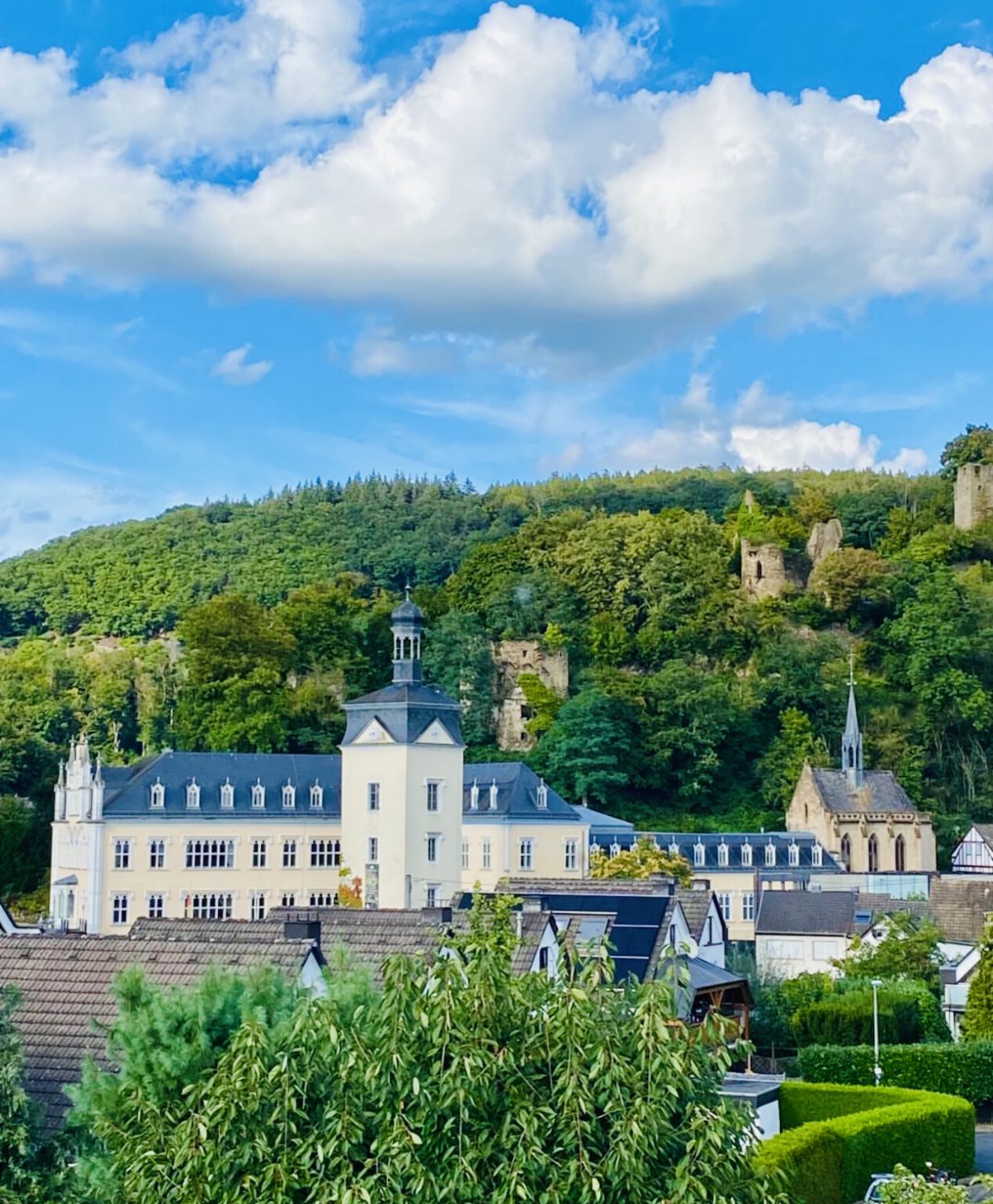 SCHLOSS SAYN F RSTENSCHLOSS SCHMETTERLINGE schloss-sayn-f-rstenschloss-schmetterlinge